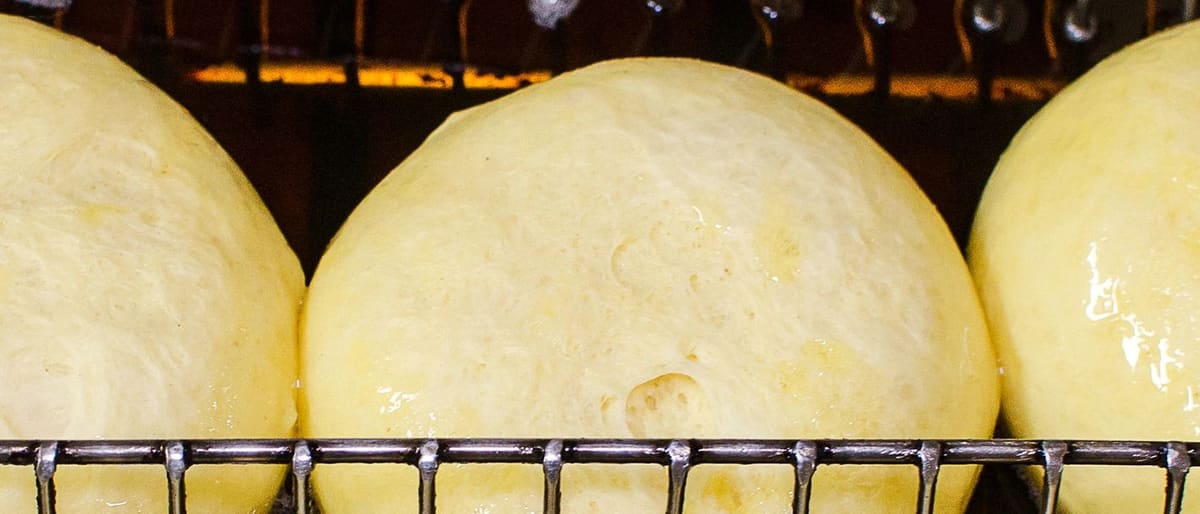 Proofed dough balls on bakery racks